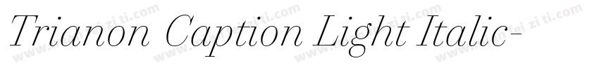 Trianon Caption Light Italic字体转换